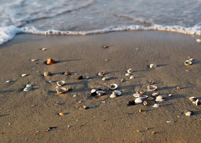 Cozy Flat In With Swimming Pool-beahost *